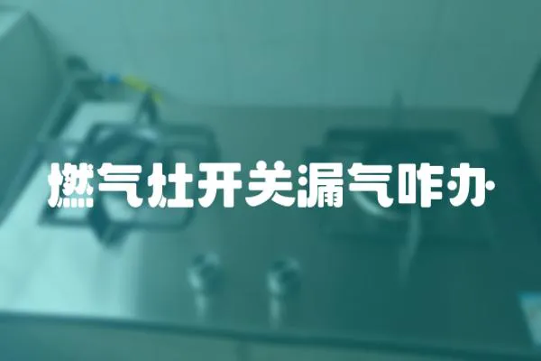 燃?xì)庠铋_(kāi)關(guān)漏氣咋辦
