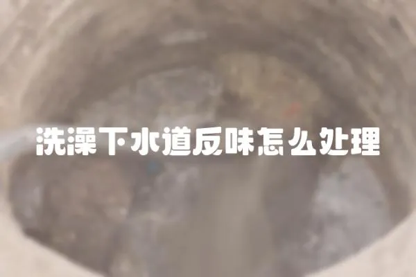 洗澡下水道反味怎么處理