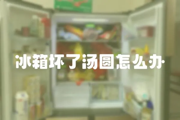 冰箱壞了湯圓怎么辦