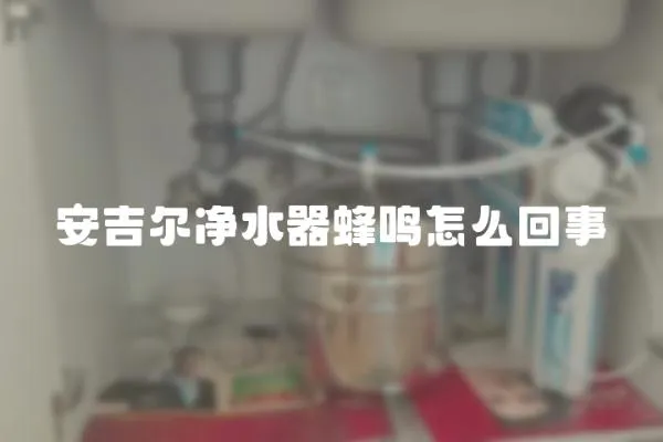 安吉爾凈水器蜂鳴怎么回事