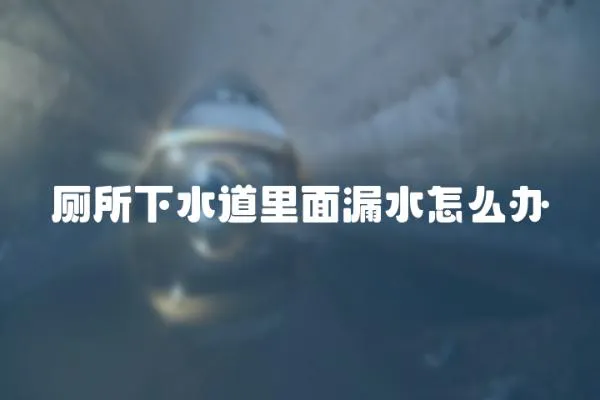 廁所下水道里面漏水怎么辦
