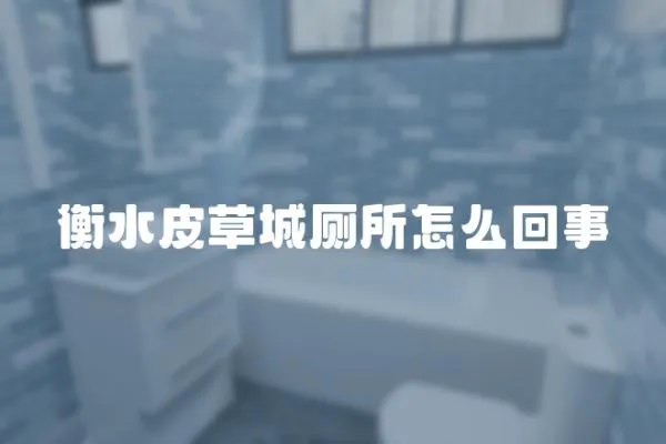 衡水皮草城廁所怎么回事