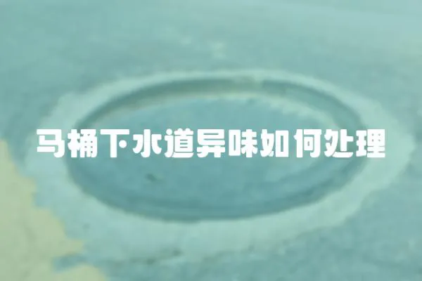 馬桶下水道異味如何處理