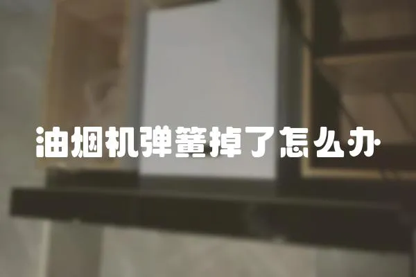 油煙機彈簧掉了怎么辦