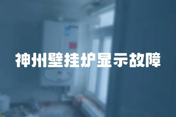 神州壁掛爐顯示故障