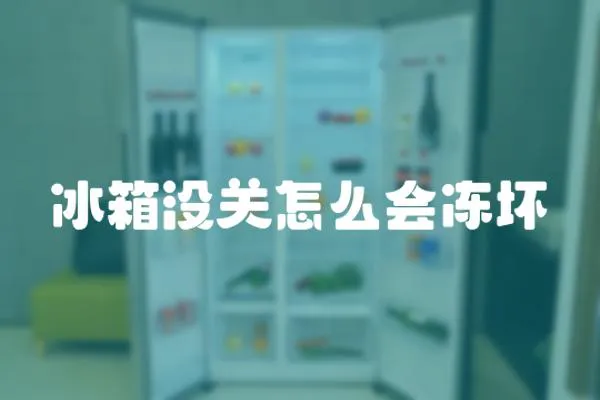 冰箱沒關怎么會凍壞
