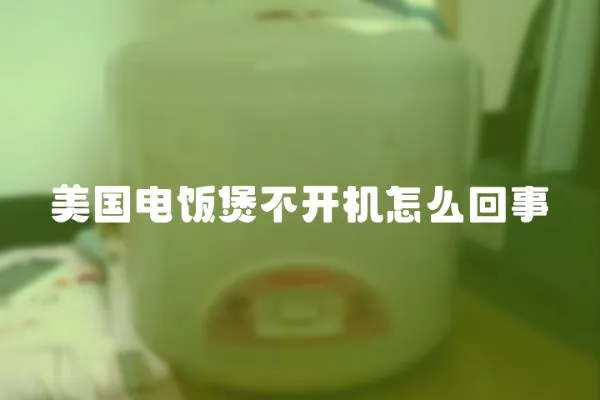 美國電飯煲不開機怎么回事