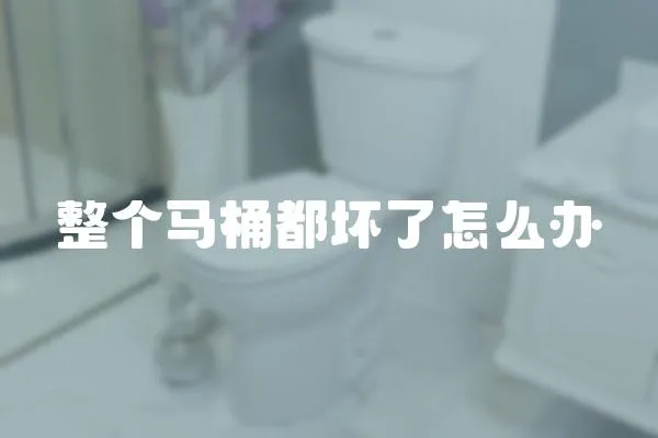 整個(gè)馬桶都壞了怎么辦