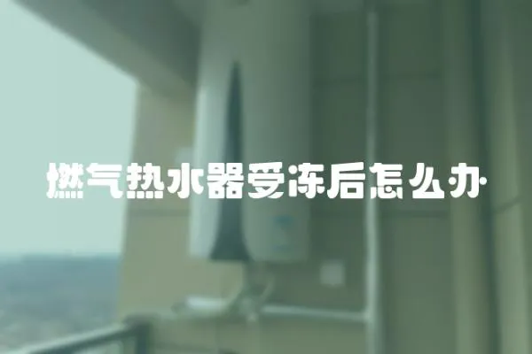 燃氣熱水器受凍后怎么辦