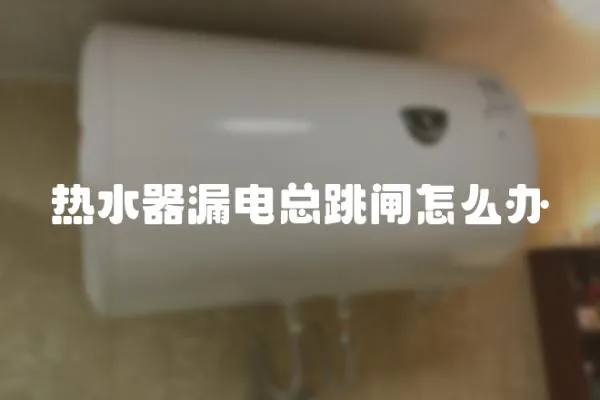 熱水器漏電總跳閘怎么辦