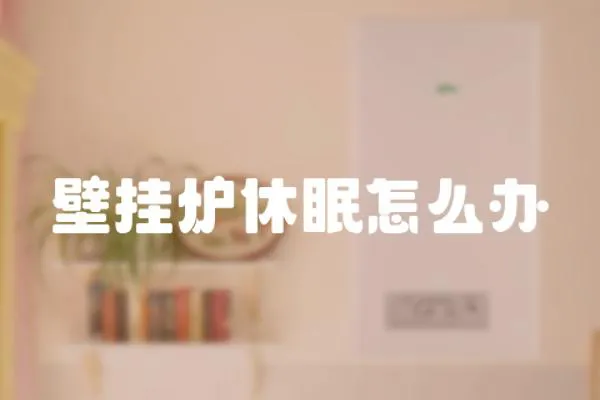 壁掛爐休眠怎么辦