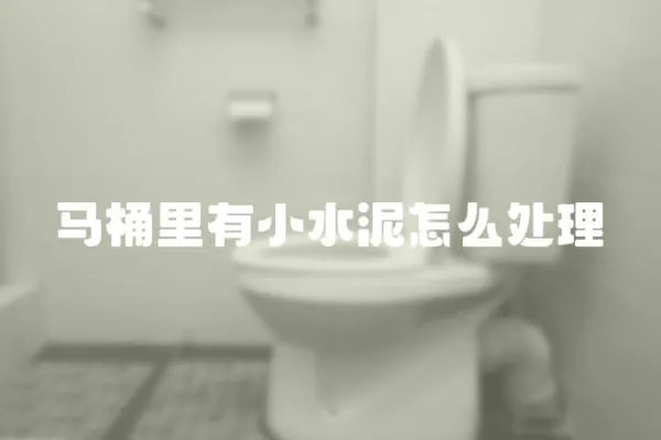 馬桶里有小水泥怎么處理