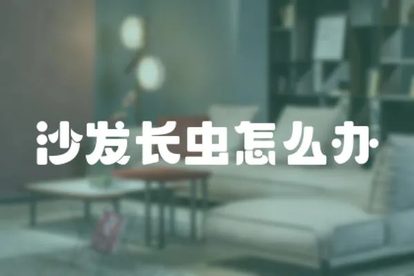 沙發(fā)長蟲怎么辦