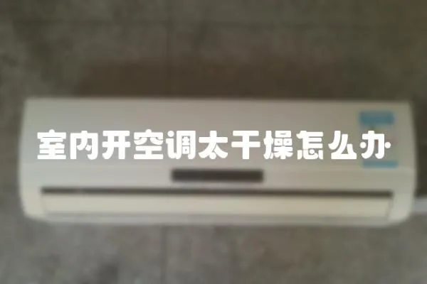 室內(nèi)開空調(diào)太干燥怎么辦