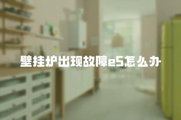 壁掛爐出現故障e5怎么辦