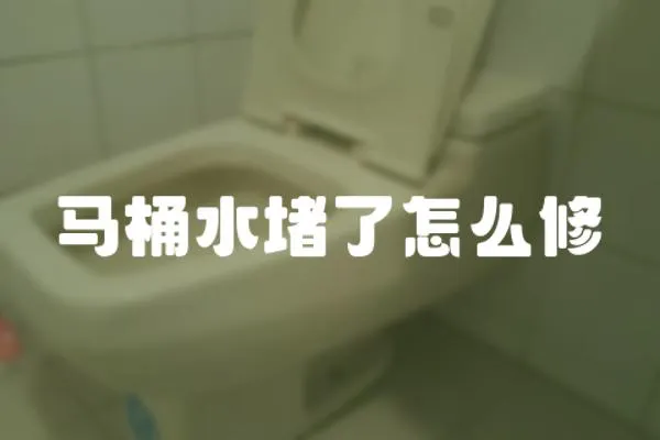 馬桶水堵了怎么修