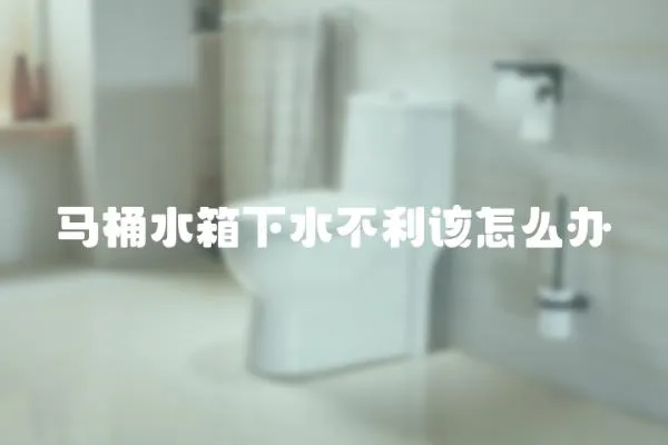 馬桶水箱下水不利該怎么辦