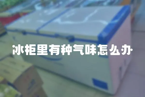 冰柜里有種氣味怎么辦