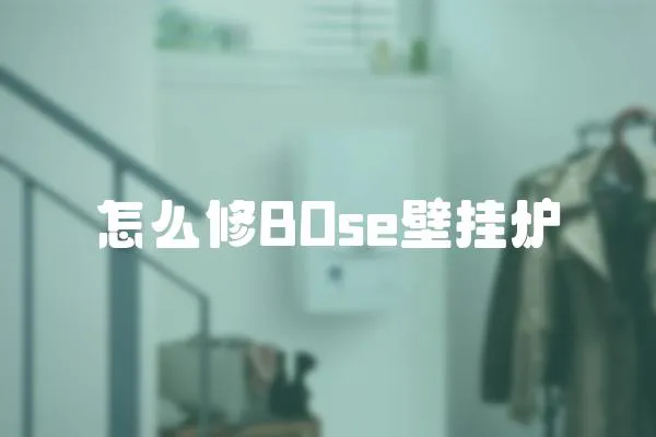 怎么修BOse壁掛爐