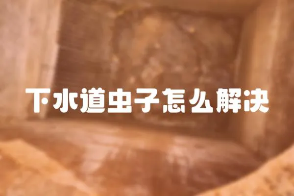 下水道蟲子怎么解決