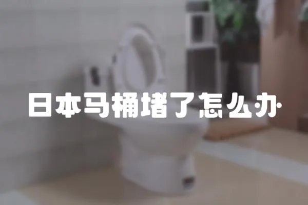 日本馬桶堵了怎么辦