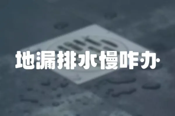 地漏排水慢咋辦