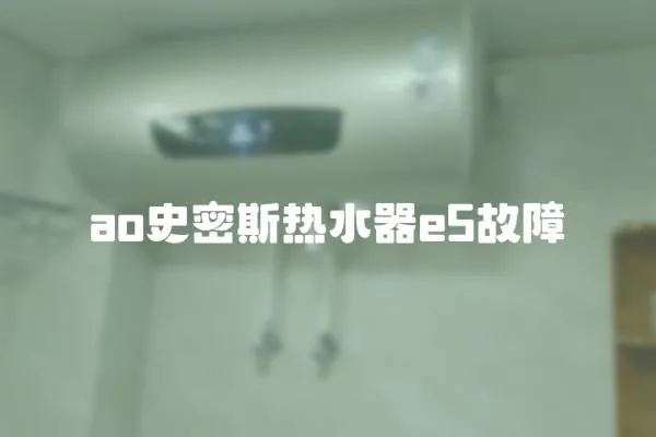 ao史密斯熱水器e5故障