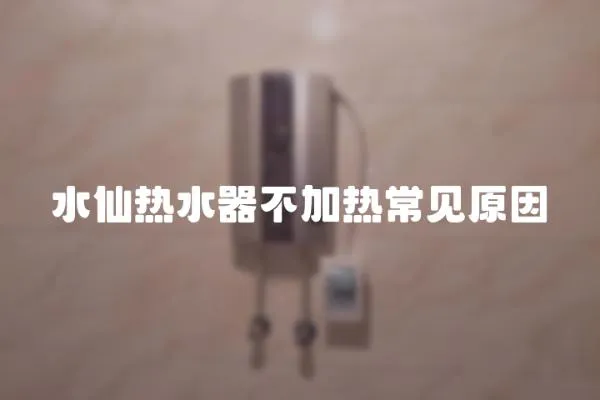 水仙熱水器不加熱常見原因