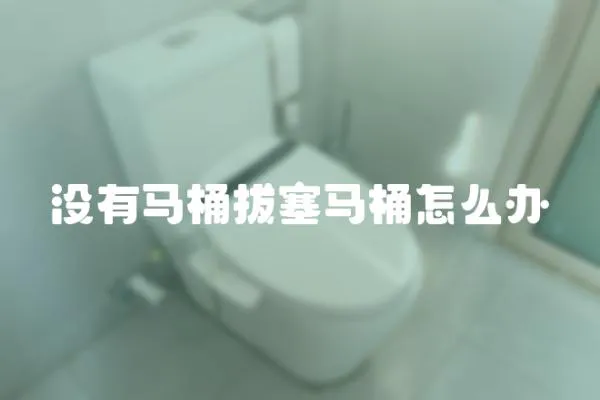 沒有馬桶拔塞馬桶怎么辦