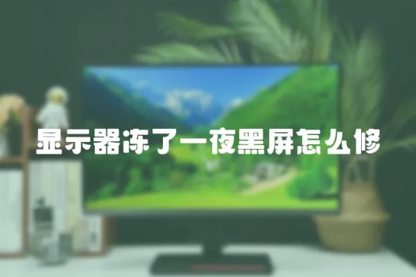 顯示器凍了一夜黑屏怎么修