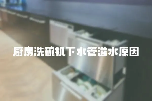 廚房洗碗機下水管溢水原因