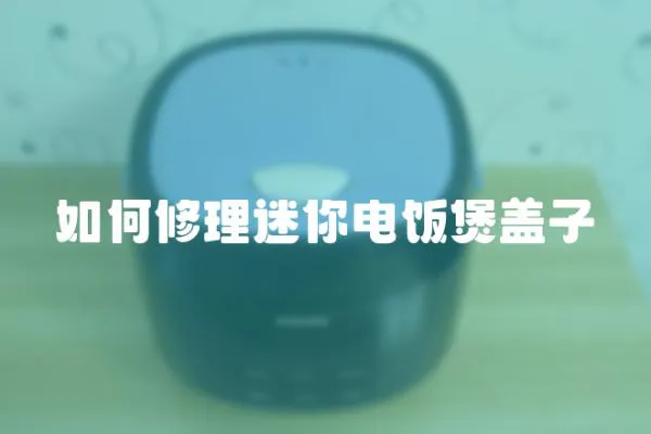 如何修理迷你電飯煲蓋子