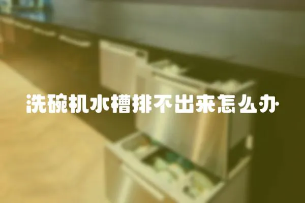 洗碗機水槽排不出來怎么辦