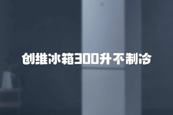 創維冰箱300升不制冷