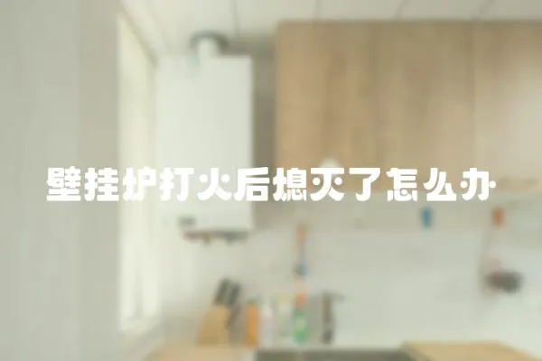 壁掛爐打火后熄滅了怎么辦