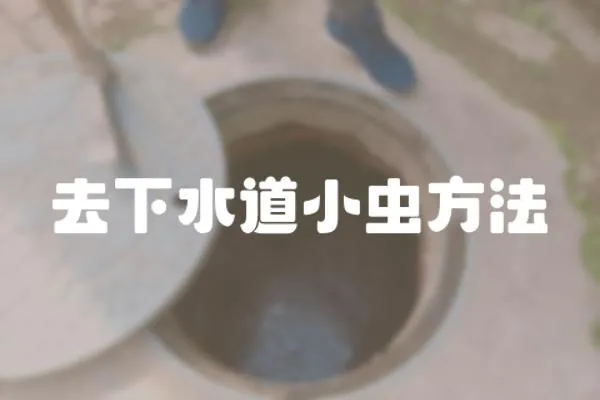 去下水道小蟲方法