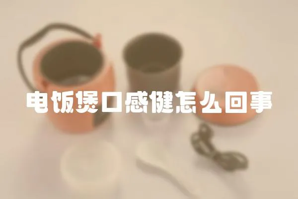 電飯煲口感健怎么回事
