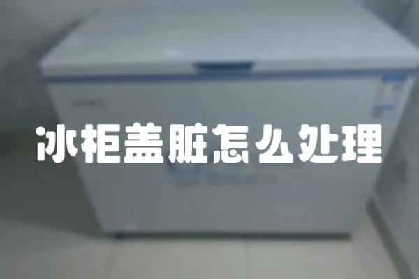 冰柜蓋臟怎么處理