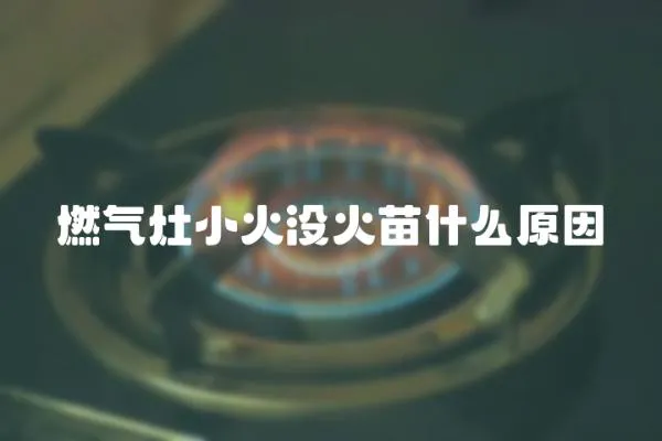 燃氣灶小火沒火苗什么原因