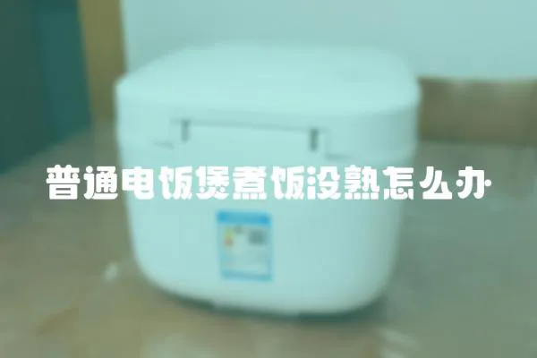 普通電飯煲煮飯沒熟怎么辦