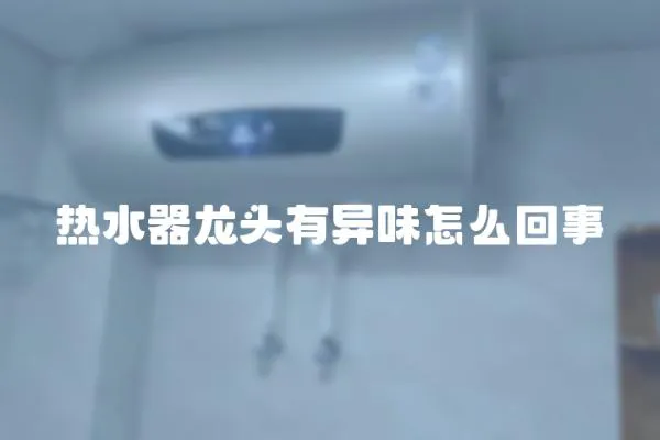 熱水器龍頭有異味怎么回事
