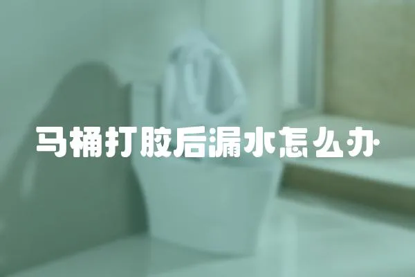 馬桶打膠后漏水怎么辦