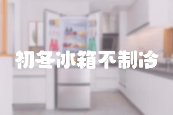 初冬冰箱不制冷
