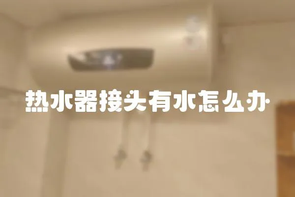 熱水器接頭有水怎么辦