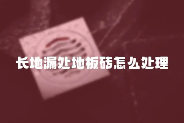 長(zhǎng)地漏處地板磚怎么處理