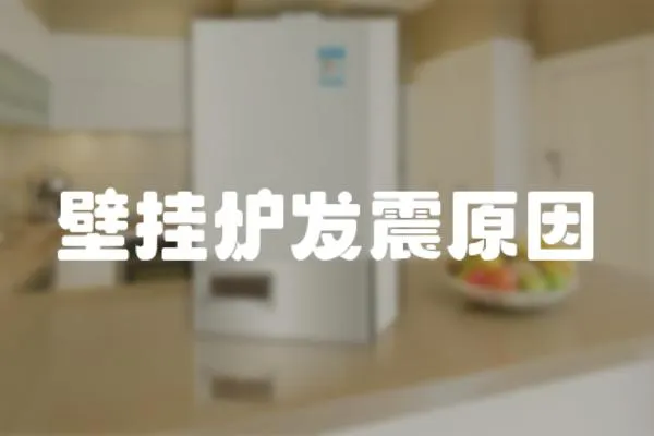 壁掛爐發震原因