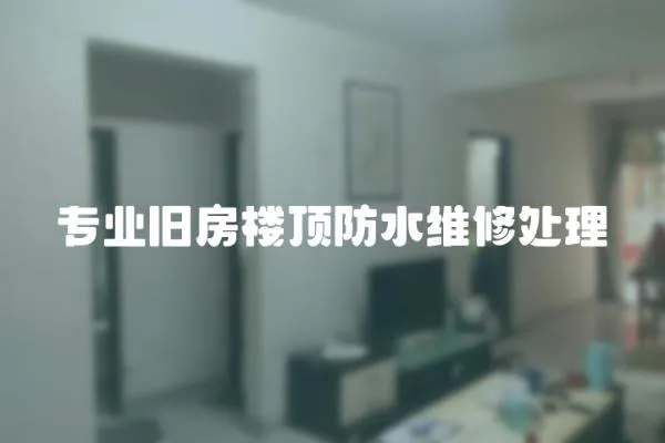 專業(yè)舊房樓頂防水維修處理