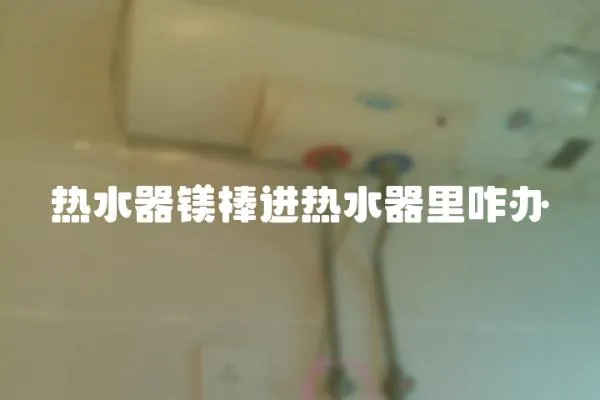 熱水器鎂棒進熱水器里咋辦