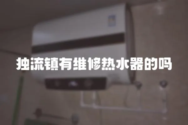 獨流鎮有維修熱水器的嗎