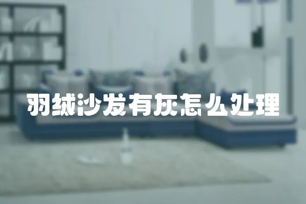 羽絨沙發有灰怎么處理
